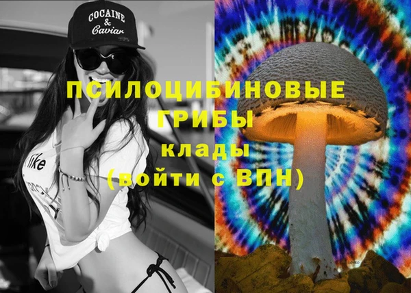 ешки Михайлов
